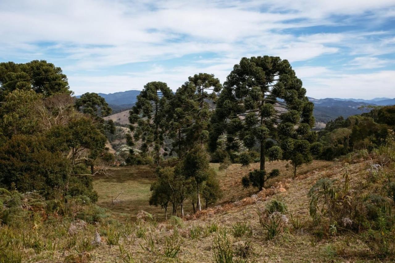 Da Mata * Sapucaí-Mirim